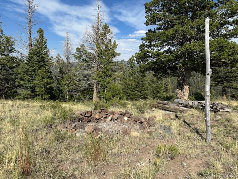 5094 Warner Road Fort Garland CO 81133