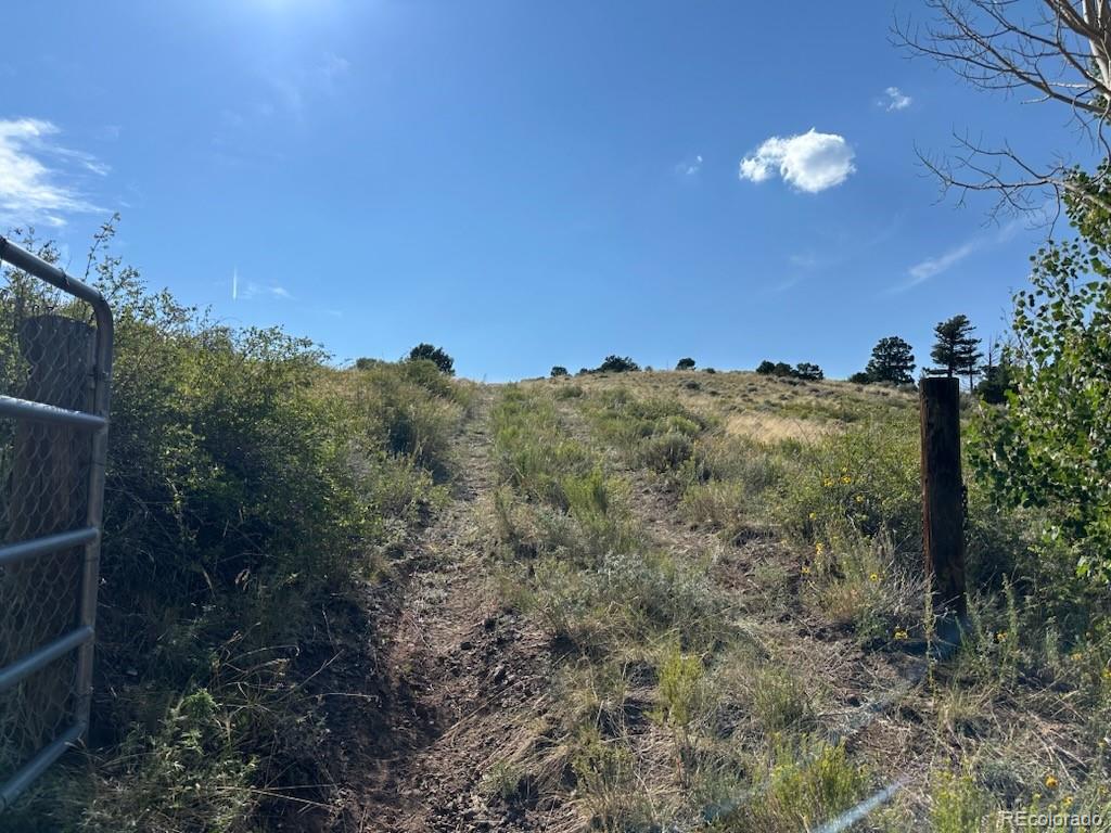 5094 Warner Road Fort Garland CO 81133