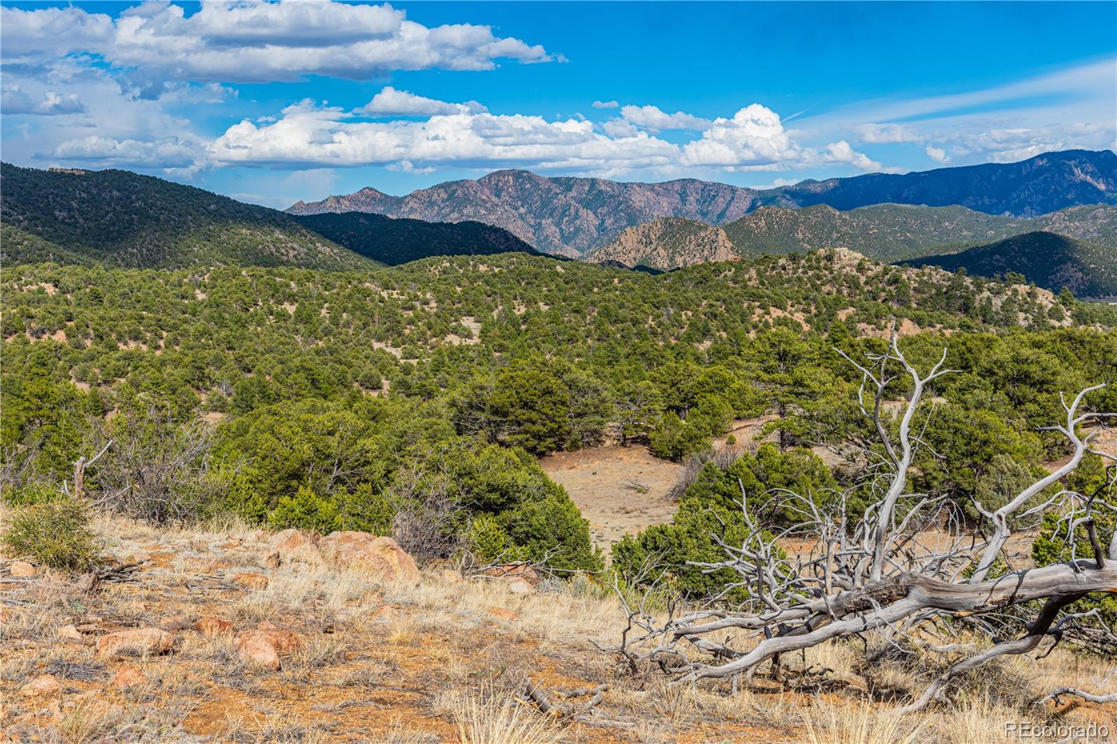 TR-56 Macdonnell Cotopaxi CO 81223