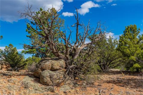 TR-56 Macdonnell Cotopaxi CO 81223