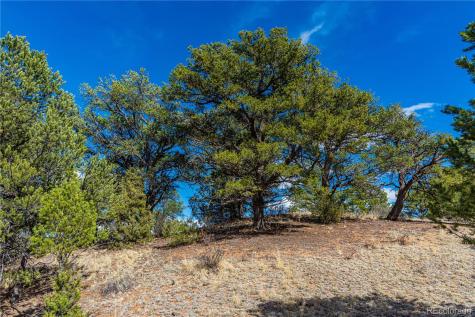 TR-56 Macdonnell Cotopaxi CO 81223