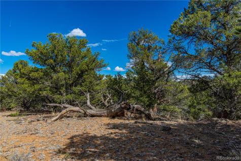 TR-56 Macdonnell Cotopaxi CO 81223