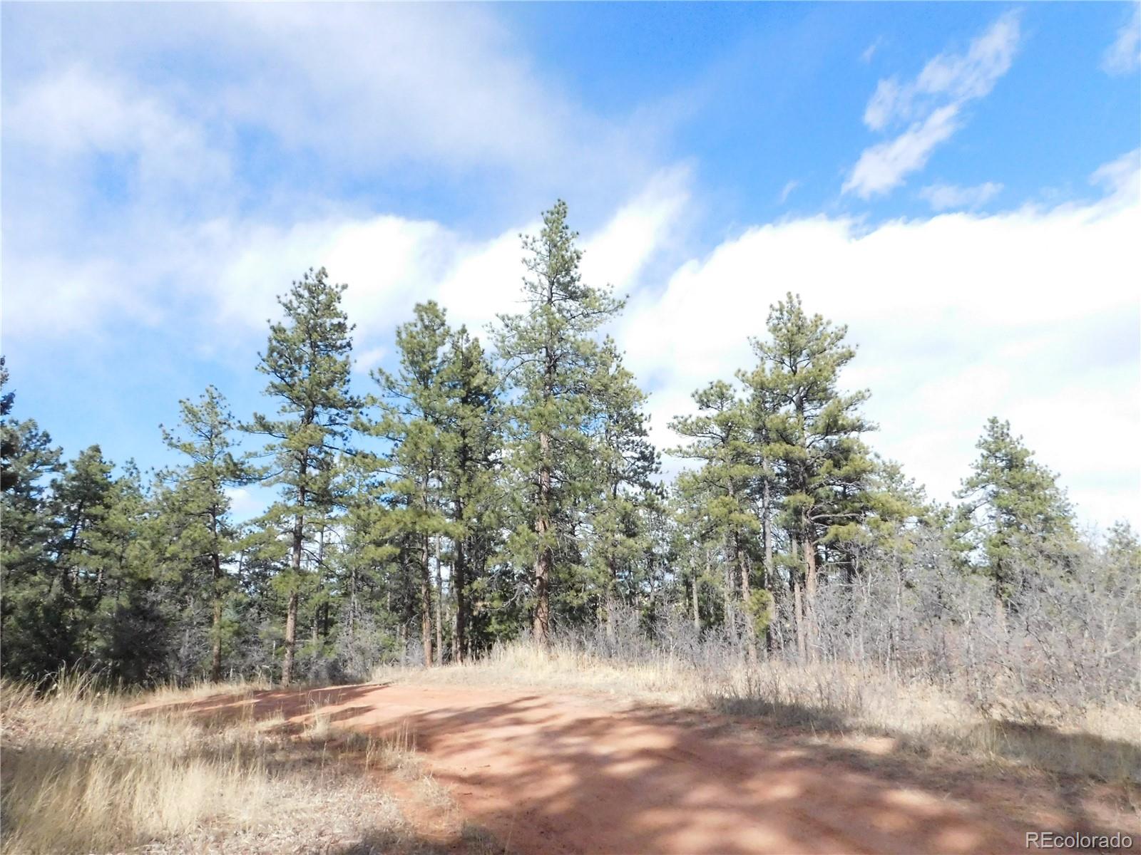8122 Acoma Drive Larkspur CO 80118