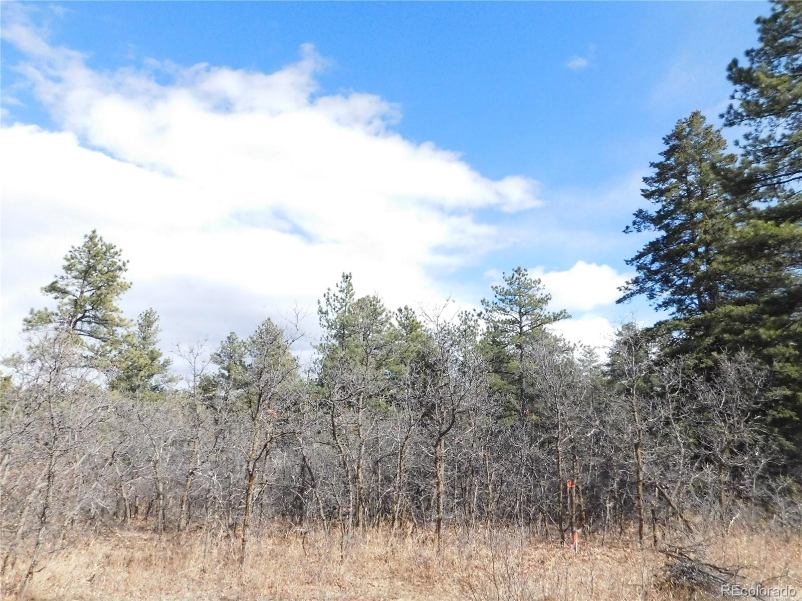 8122 Acoma Drive Larkspur CO 80118