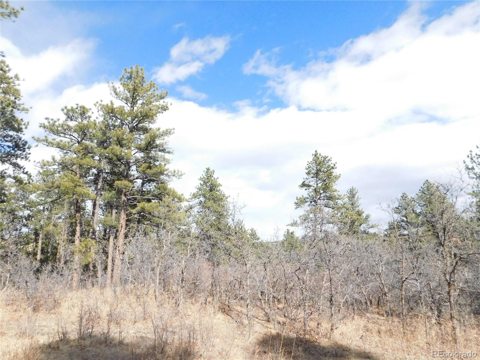 8122 Acoma Drive Larkspur CO 80118