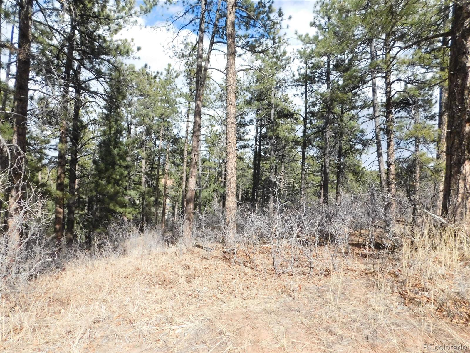 8122 Acoma Drive Larkspur CO 80118