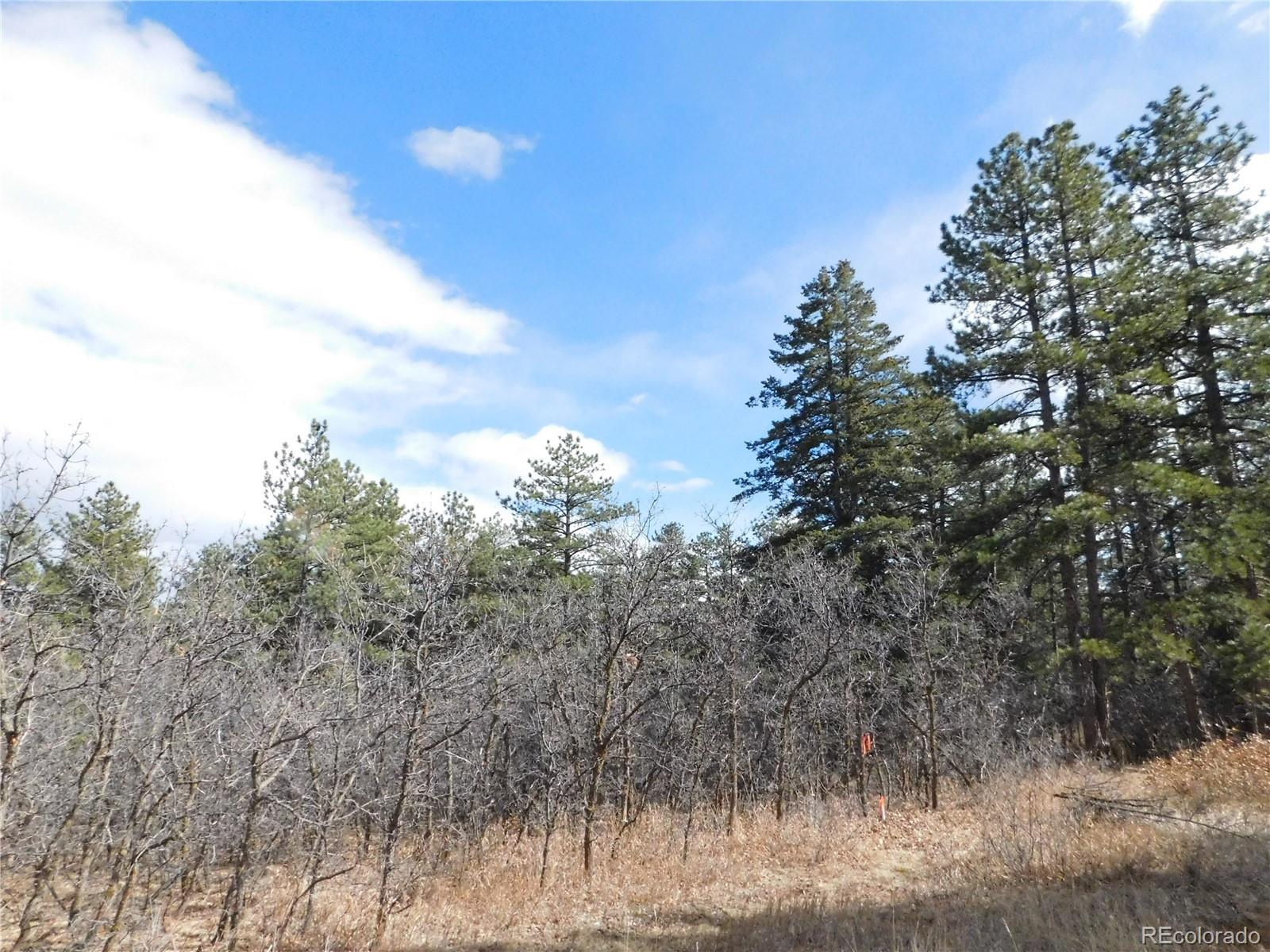 8122 Acoma Drive Larkspur CO 80118
