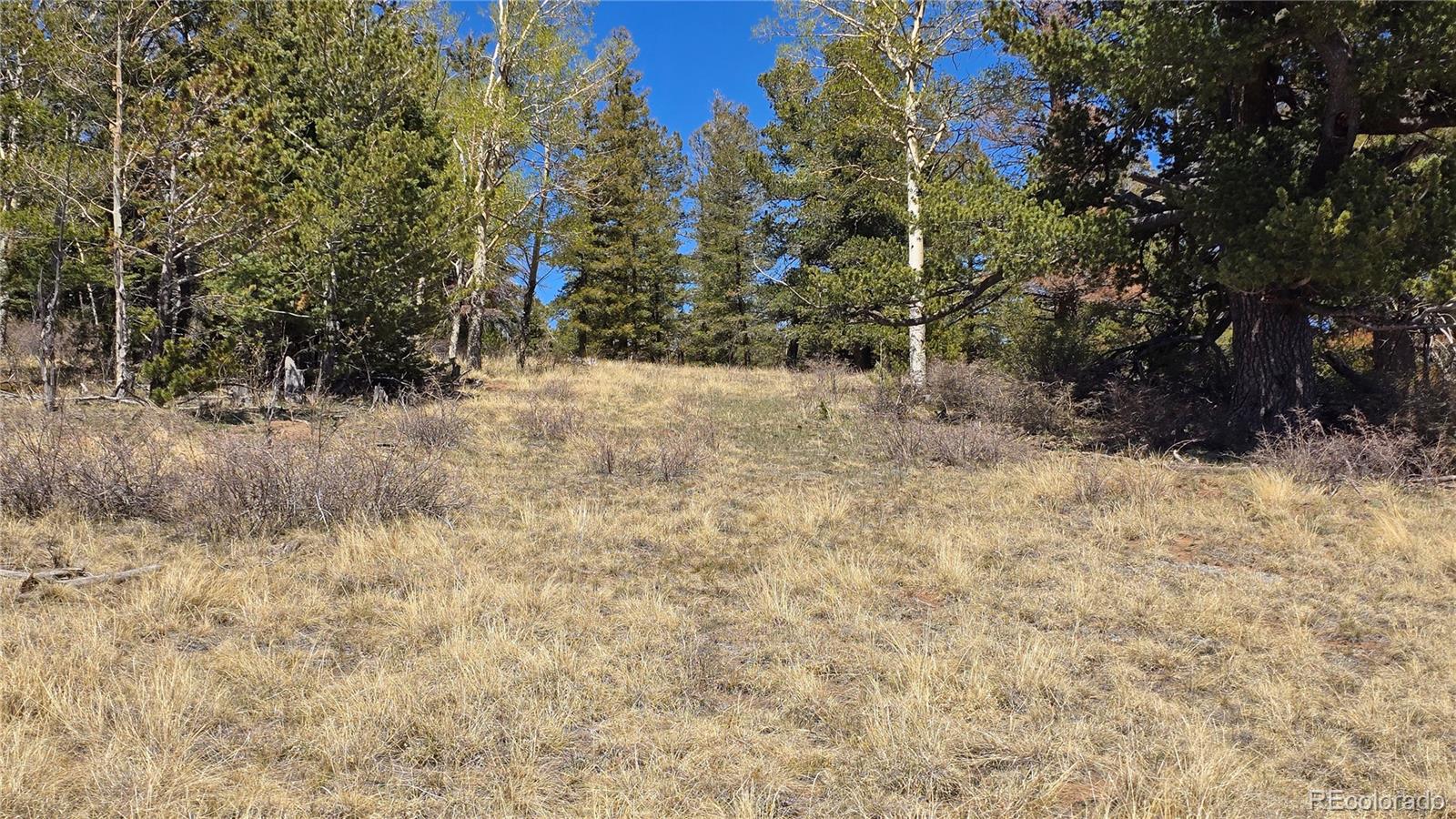 Lots 5817 & 5818 Balleroy & Covington Road Fort Garland CO 81133
