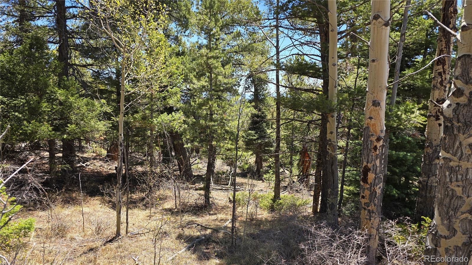 Lots 5817 & 5818 Balleroy & Covington Road Fort Garland CO 81133