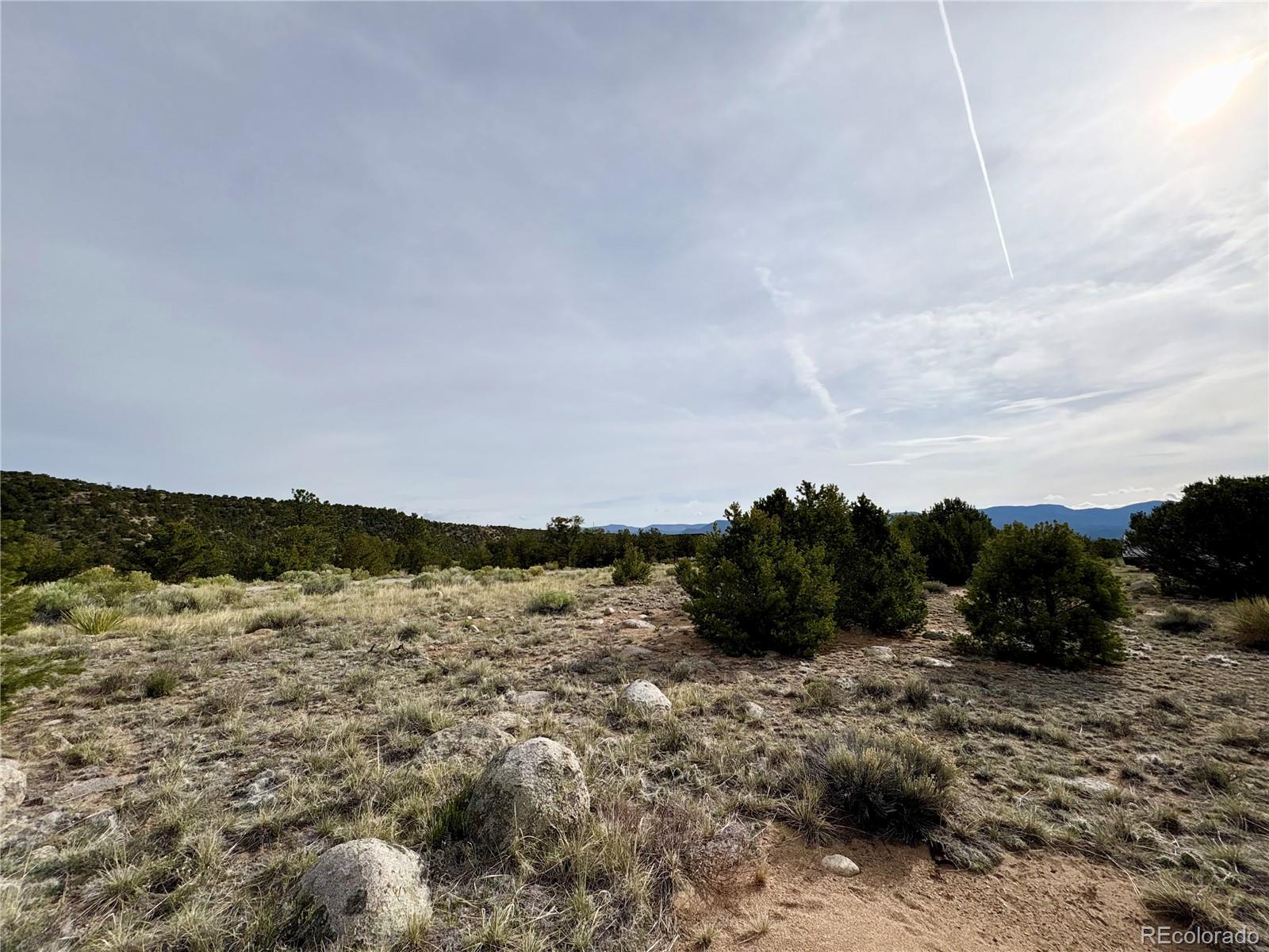 14973 Chalk Creek Drive Nathrop CO 81236