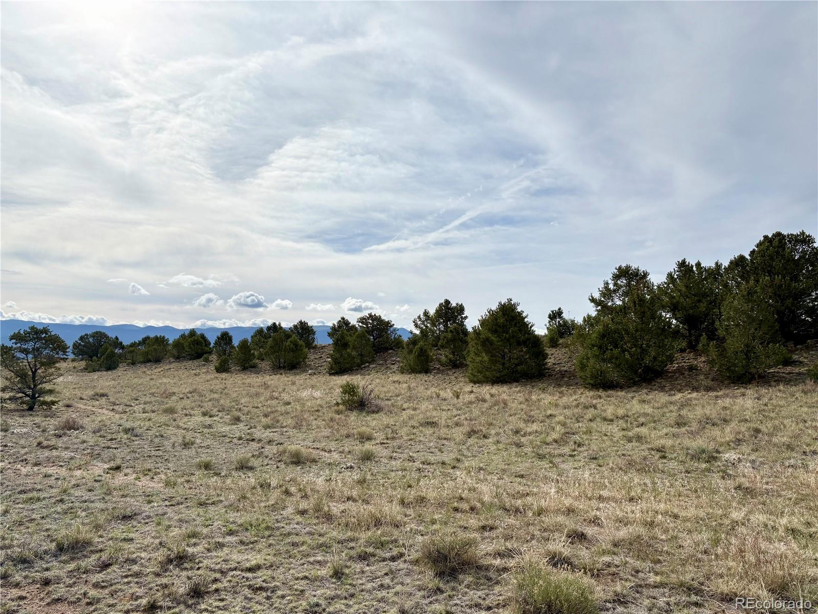 14973 Chalk Creek Drive Nathrop CO 81236
