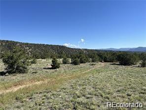 14973 Chalk Creek Drive Nathrop CO 81236