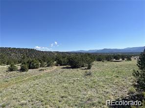 14973 Chalk Creek Drive Nathrop CO 81236