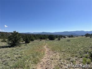 14973 Chalk Creek Drive Nathrop CO 81236