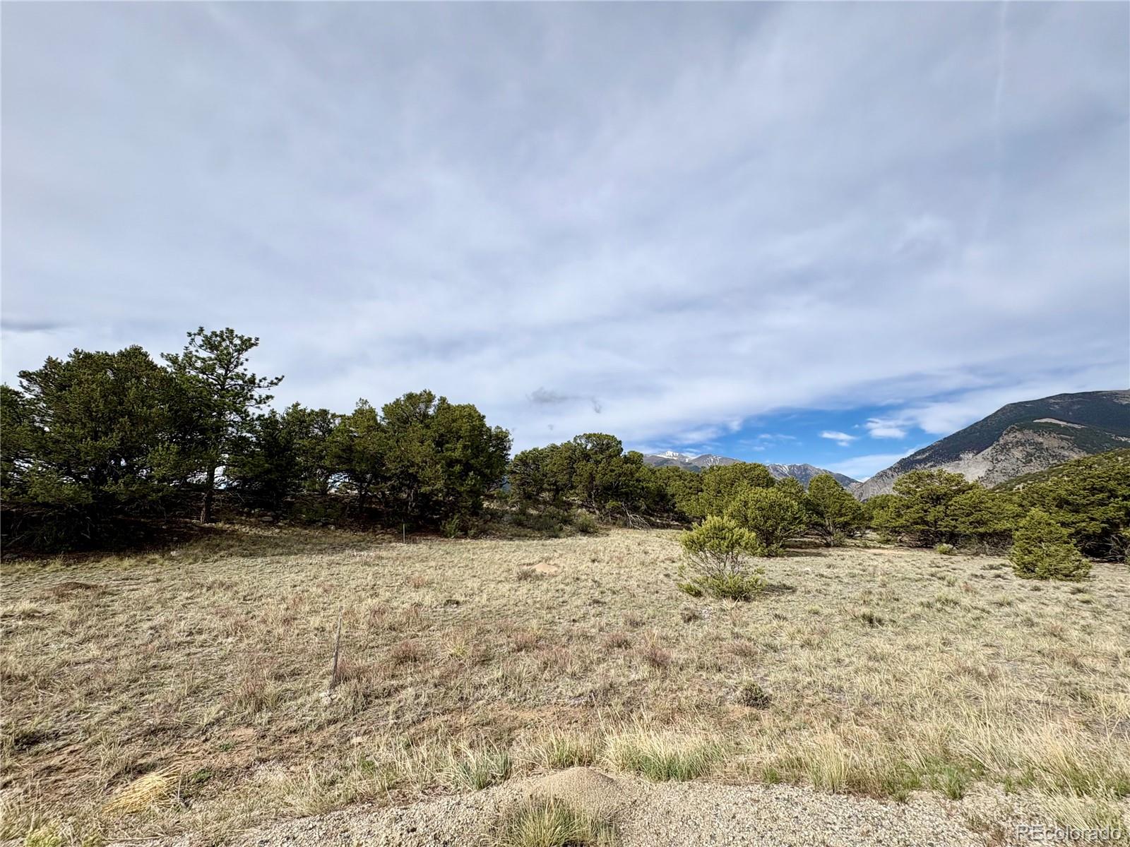 14973 Chalk Creek Drive Nathrop CO 81236