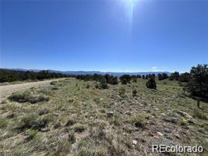 14973 Chalk Creek Drive Nathrop CO 81236