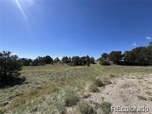 14973 Chalk Creek Drive Nathrop CO 81236