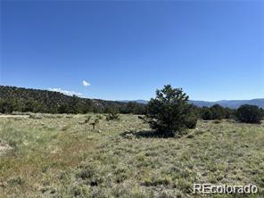 14973 Chalk Creek Drive Nathrop CO 81236