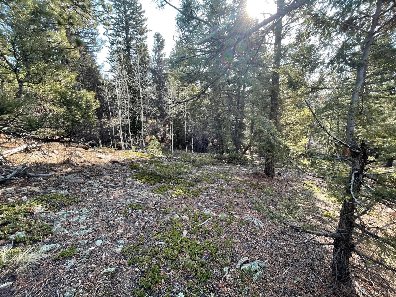 12282 Hosman Court Conifer CO 80433