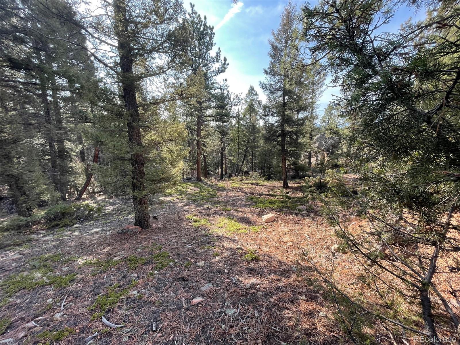 12282 Hosman Court Conifer CO 80433