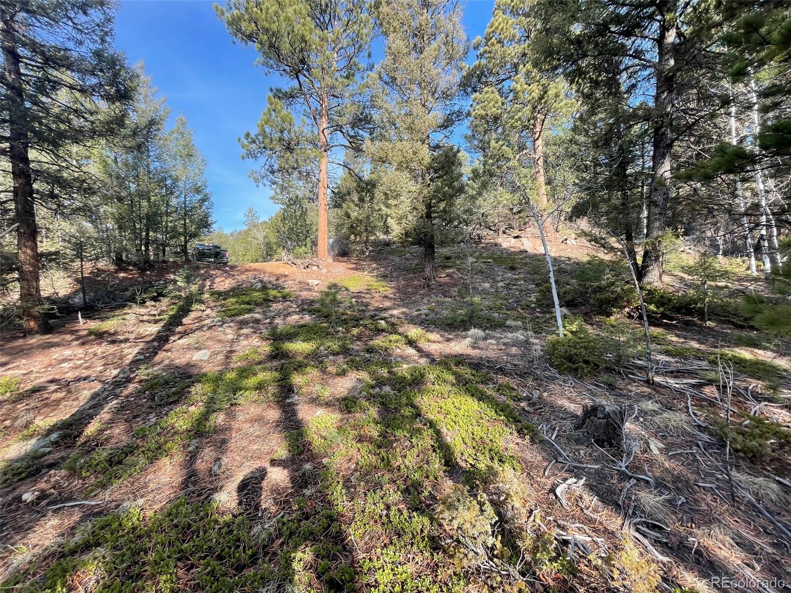 12282 Hosman Court Conifer CO 80433
