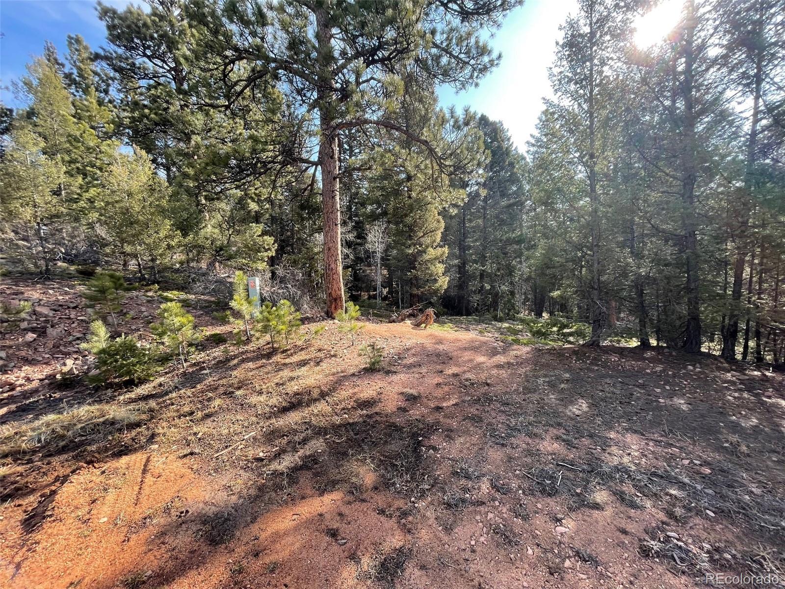 12282 Hosman Court Conifer CO 80433