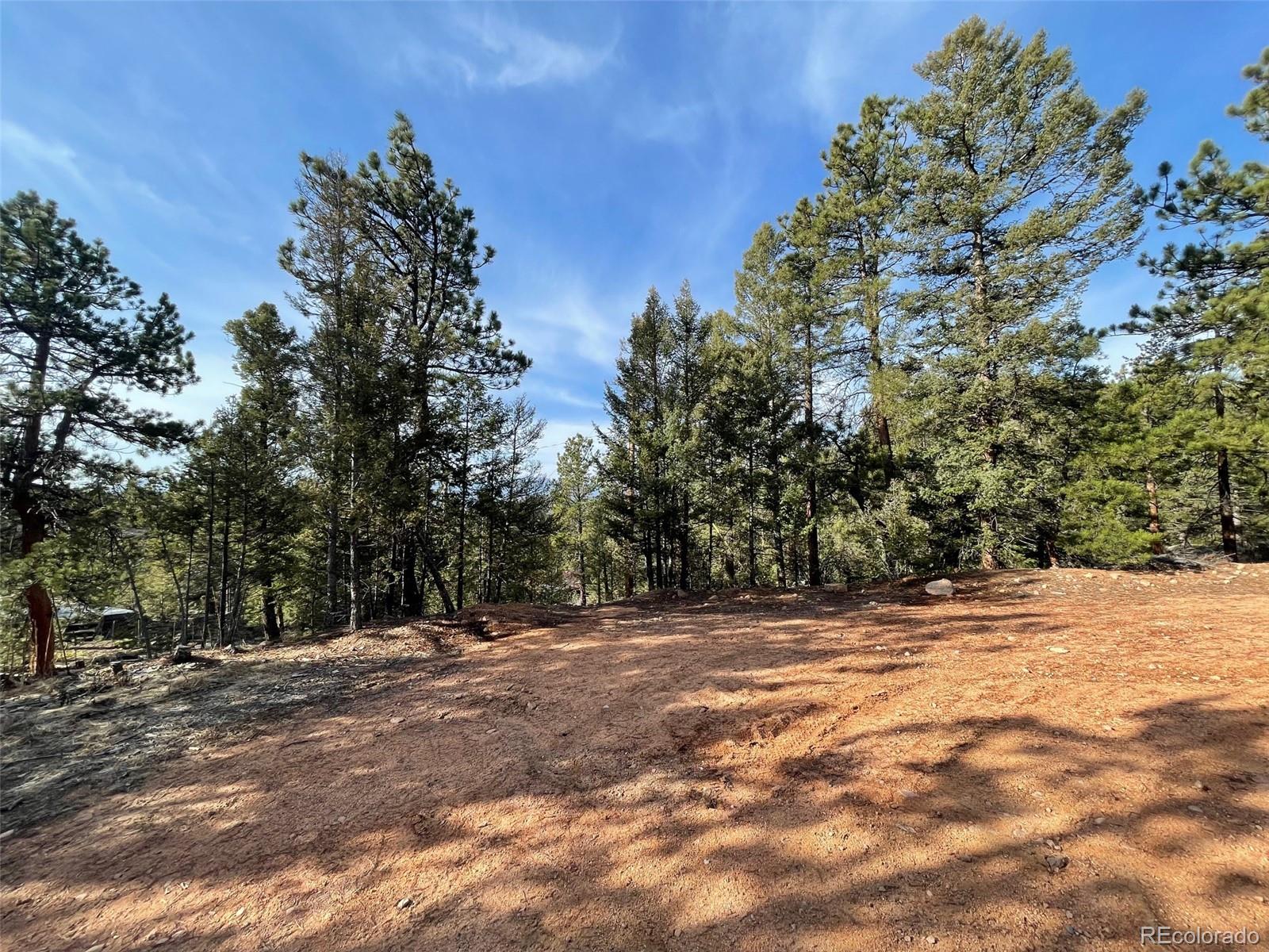 12282 Hosman Court Conifer CO 80433