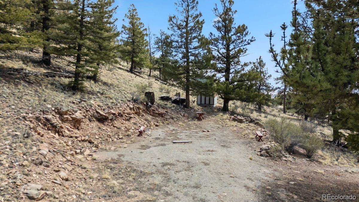 2120 Bonell Drive Fairplay CO 80440