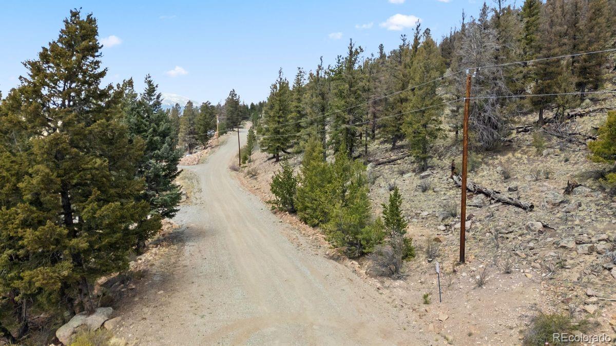 2120 Bonell Drive Fairplay CO 80440