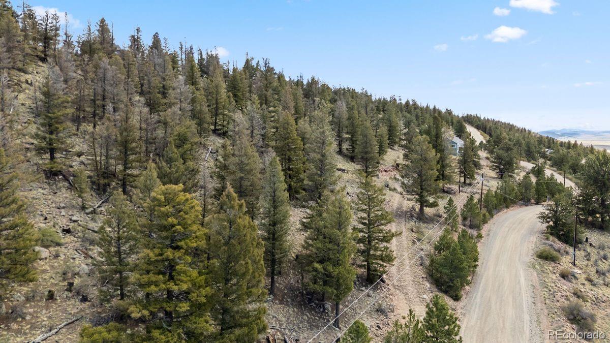 2120 Bonell Drive Fairplay CO 80440
