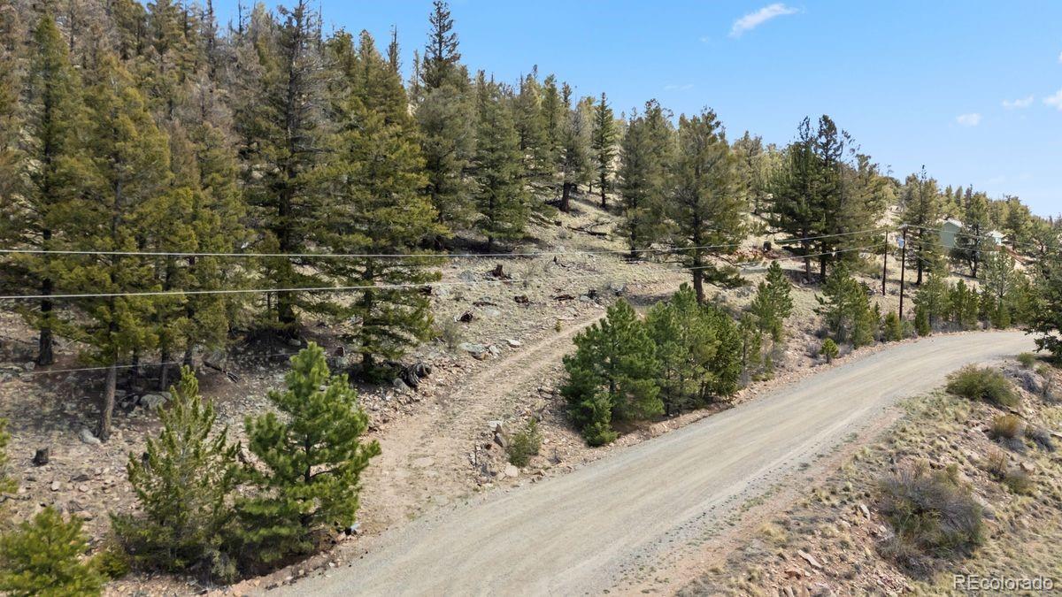 2120 Bonell Drive Fairplay CO 80440