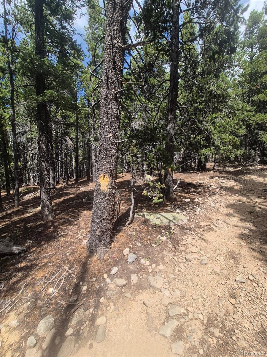 1900 County Road 128j Nederland CO 80466