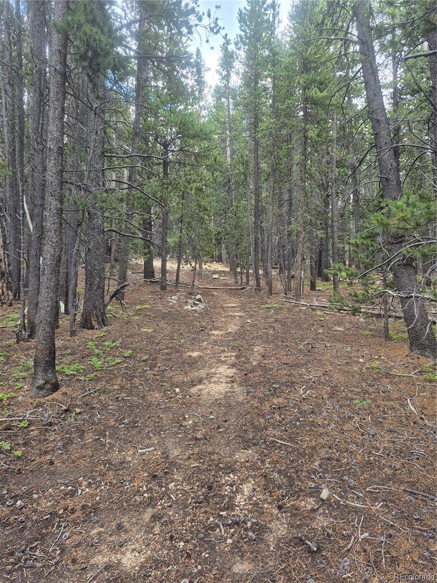1900 County Road 128j Nederland CO 80466