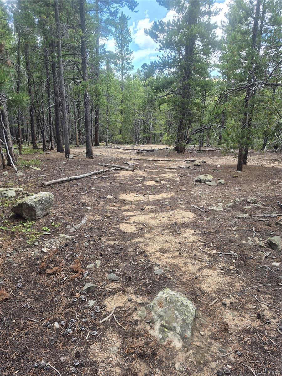 1900 County Road 128j Nederland CO 80466