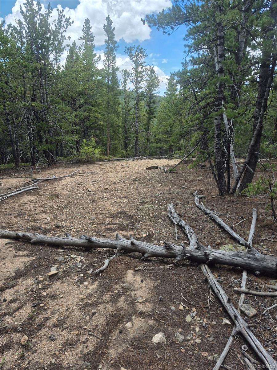 1900 County Road 128j Nederland CO 80466