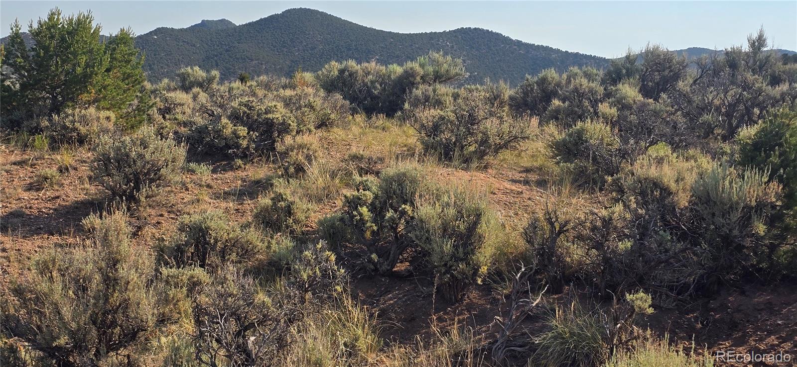 Lot 4075 Tiernan Road Fort Garland CO 81133