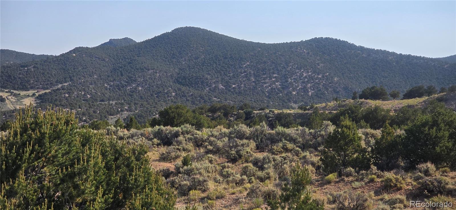 Lot 4075 Tiernan Road Fort Garland CO 81133