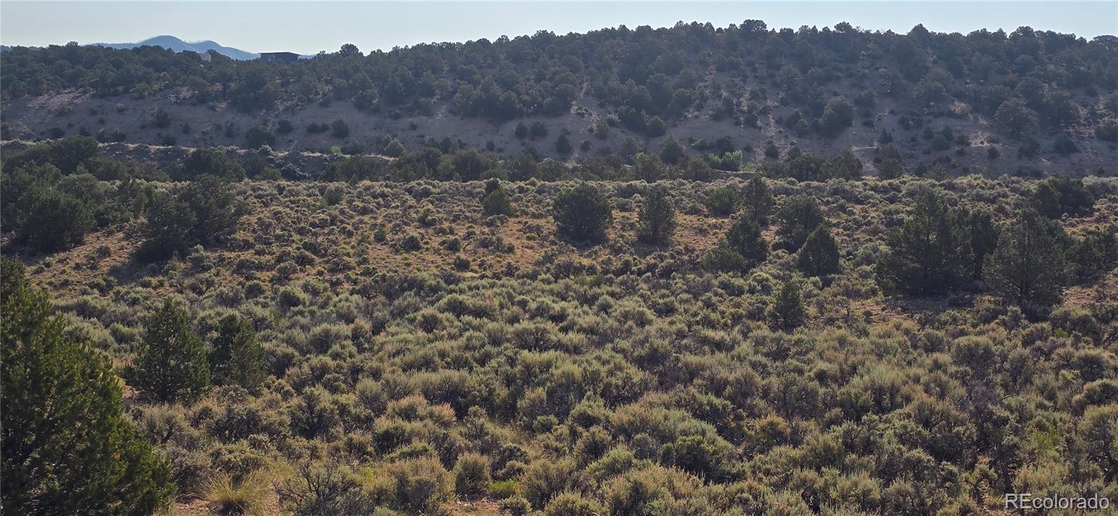 Lot 4075 Tiernan Road Fort Garland CO 81133