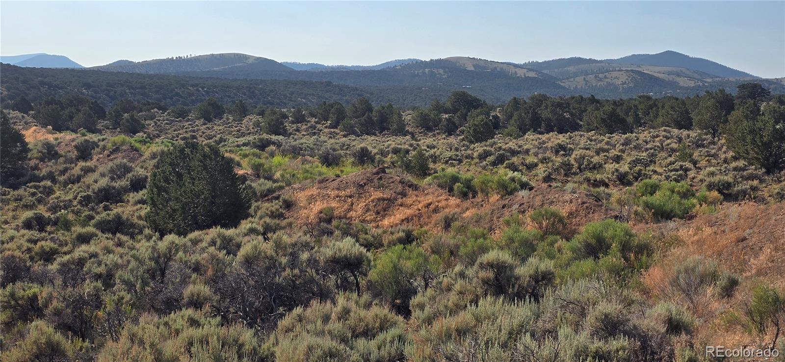 Lot 4075 Tiernan Road Fort Garland CO 81133