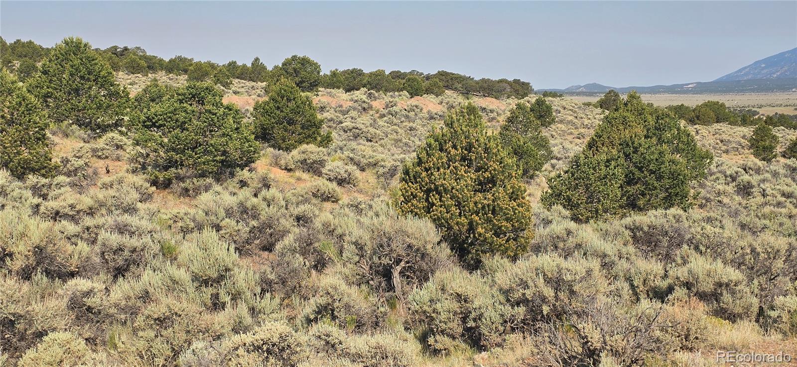 Lot 4075 Tiernan Road Fort Garland CO 81133