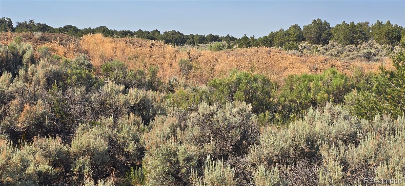 Lot 4075 Tiernan Road Fort Garland CO 81133