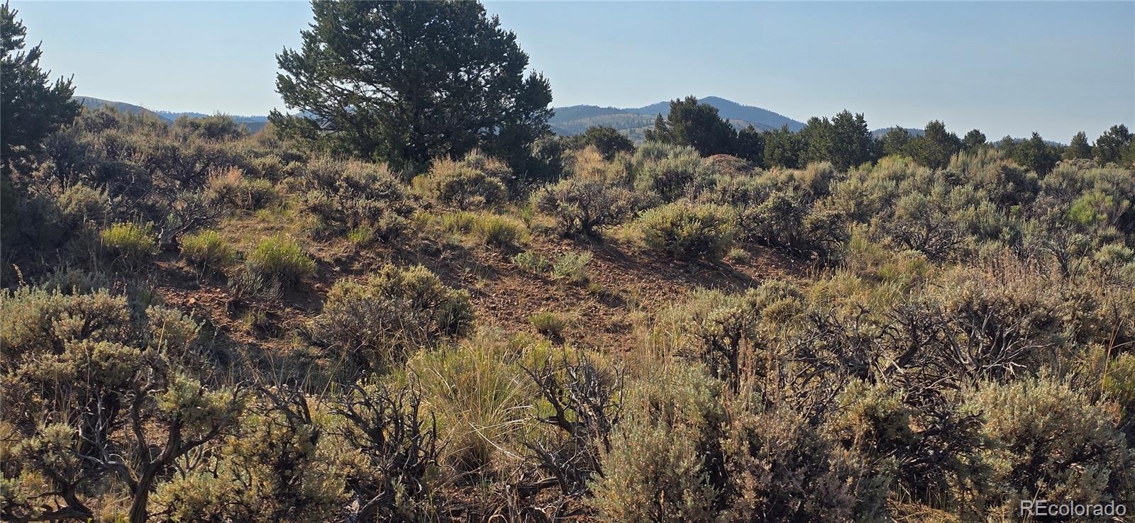 Lot 4075 Tiernan Road Fort Garland CO 81133
