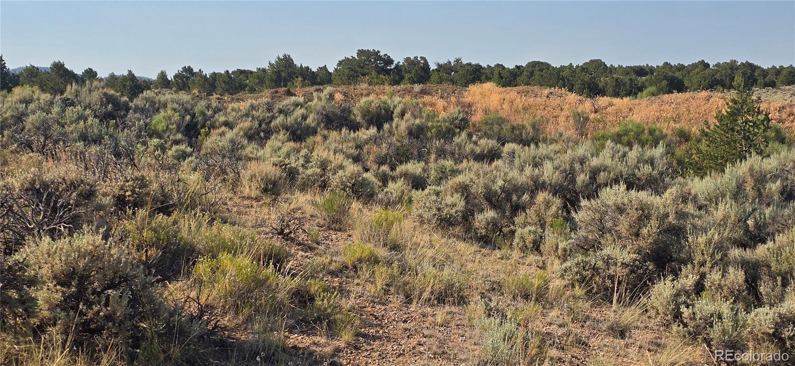 Lot 4075 Tiernan Road Fort Garland CO 81133