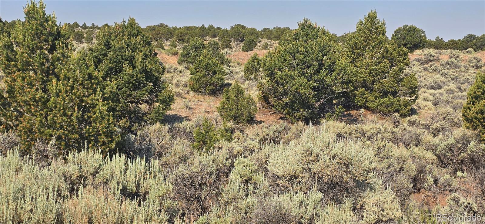 Lot 4075 Tiernan Road Fort Garland CO 81133