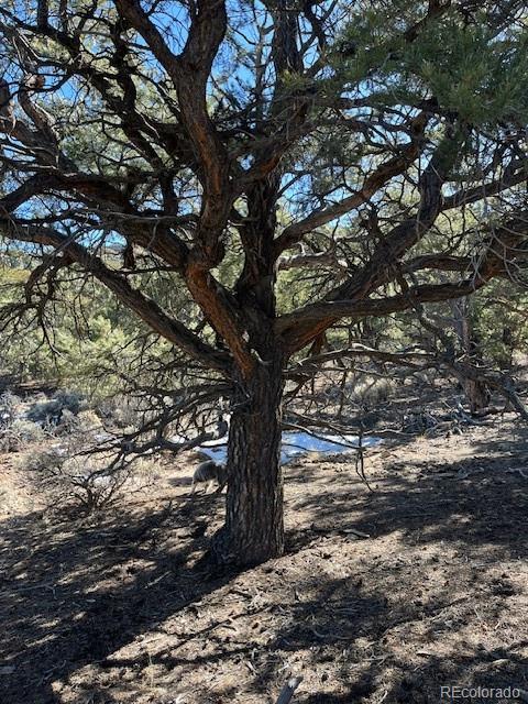 Tbd Wildhorse Drive San Luis CO 81152