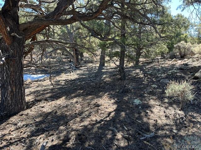 Tbd Wildhorse Drive San Luis CO 81152