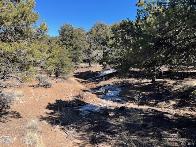 Tbd Wildhorse Drive San Luis CO 81152