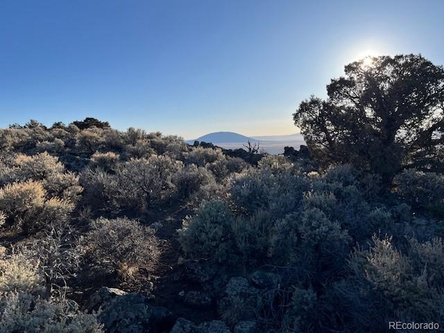 Tbd Wildhorse Drive San Luis CO 81152
