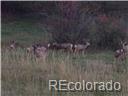 02 E Cherry Creek Road Larkspur CO 80118