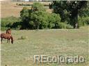 02 E Cherry Creek Road Larkspur CO 80118